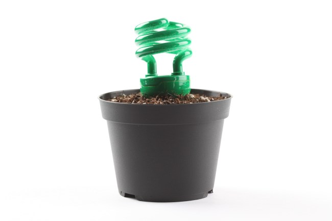 0010308371P-1920x1280