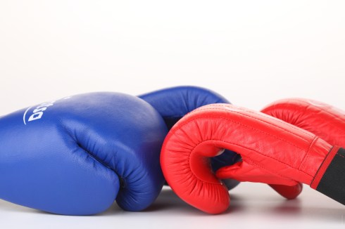 0002486564KK-1920x1280