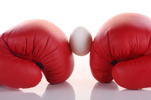 0007381040Q-1920x1280