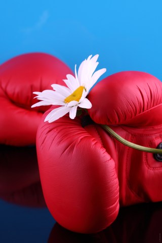 0007915540R-1280x1920