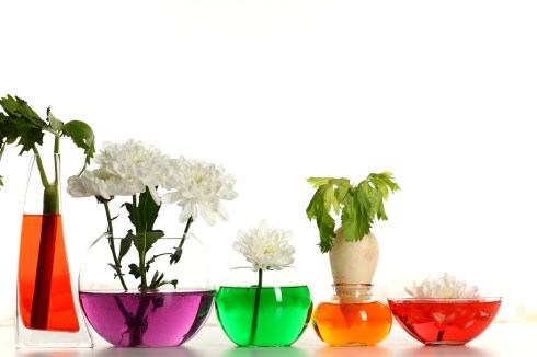 0003452849WW-1920x1280